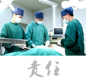 专家