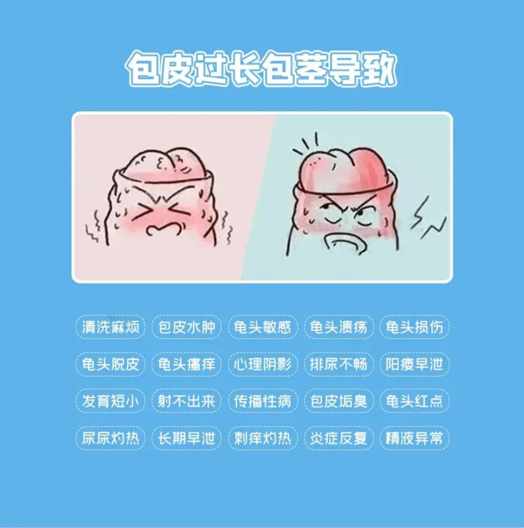 包皮过长包茎导致.jpg 图片