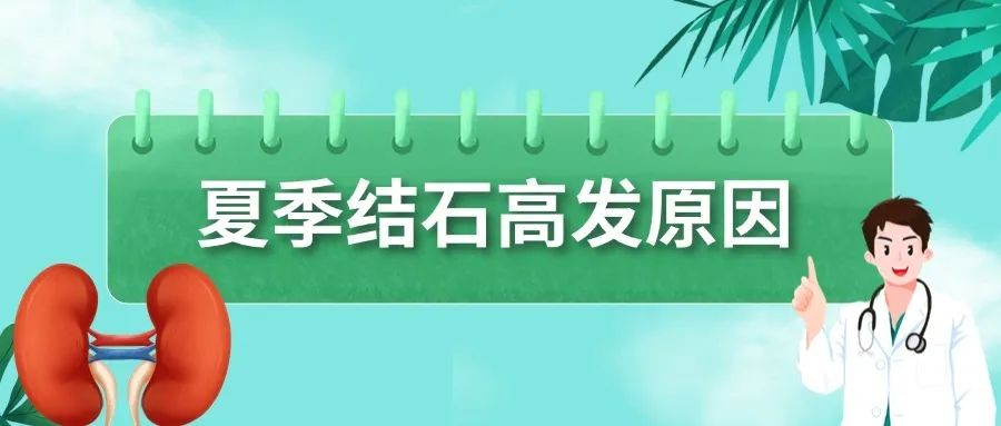 稿定设计-2(1).jpg